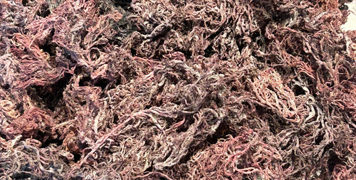 Purple St. Lucian Sea Moss