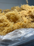 Gold Sea Moss