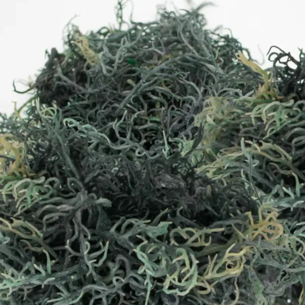 Green sea moss