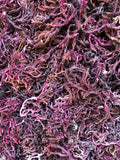 Purple St. Lucian Sea Moss